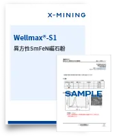 Wellmax®-S1