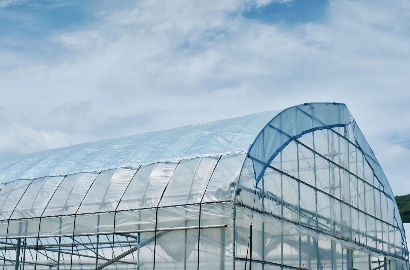 素材の透明性と織りの技術によって太陽光をコントロールする素材であることを伝えるイメージビジュアル