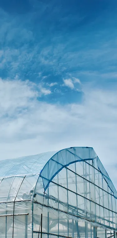 素材の透明性と織りの技術によって太陽光をコントロールする素材であることを伝えるイメージビジュアル