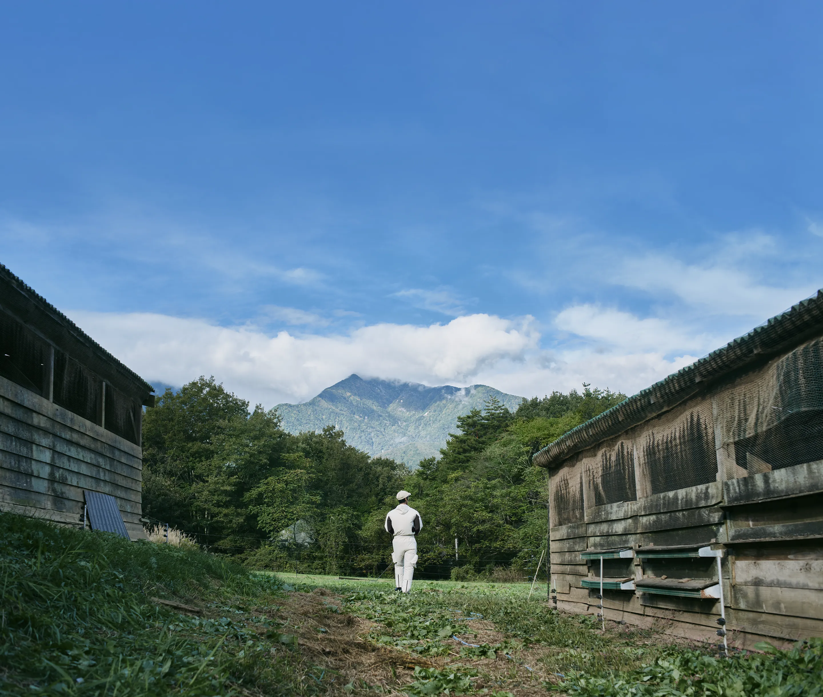 HOPE WEARを着用した人物の背中越しに見る、草原、古い鶏舎、そして雄大な山の風景のビジュアル。