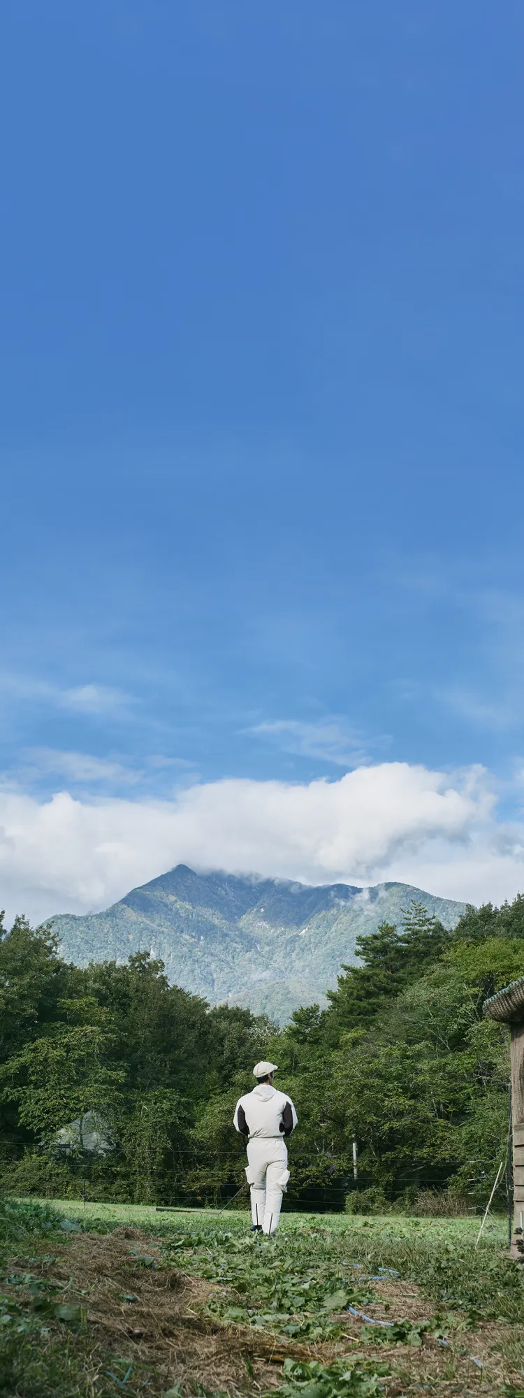 HOPE WEARを着用した人物の背中越しに見る、草原、古い鶏舎、そして雄大な山の風景のビジュアル。